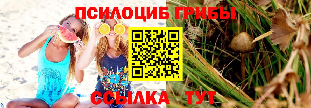 Галлюциногенные грибы ЛСД Тельмана